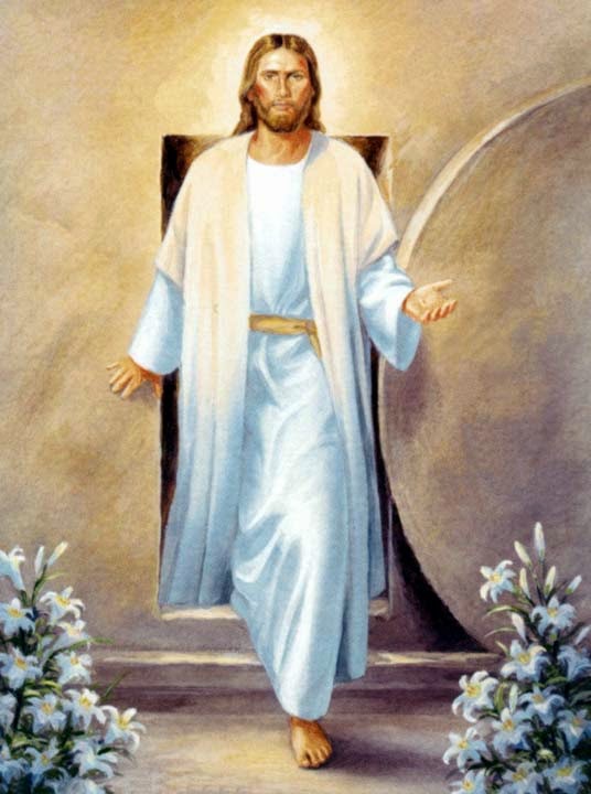 free die arzthaftung ein leitfaden für ärzte und juristen 2004