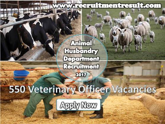 Animal Husbandry Department Jobs 2017| Applications for 550 Veterinary  Officer Posts - Recruitment Result