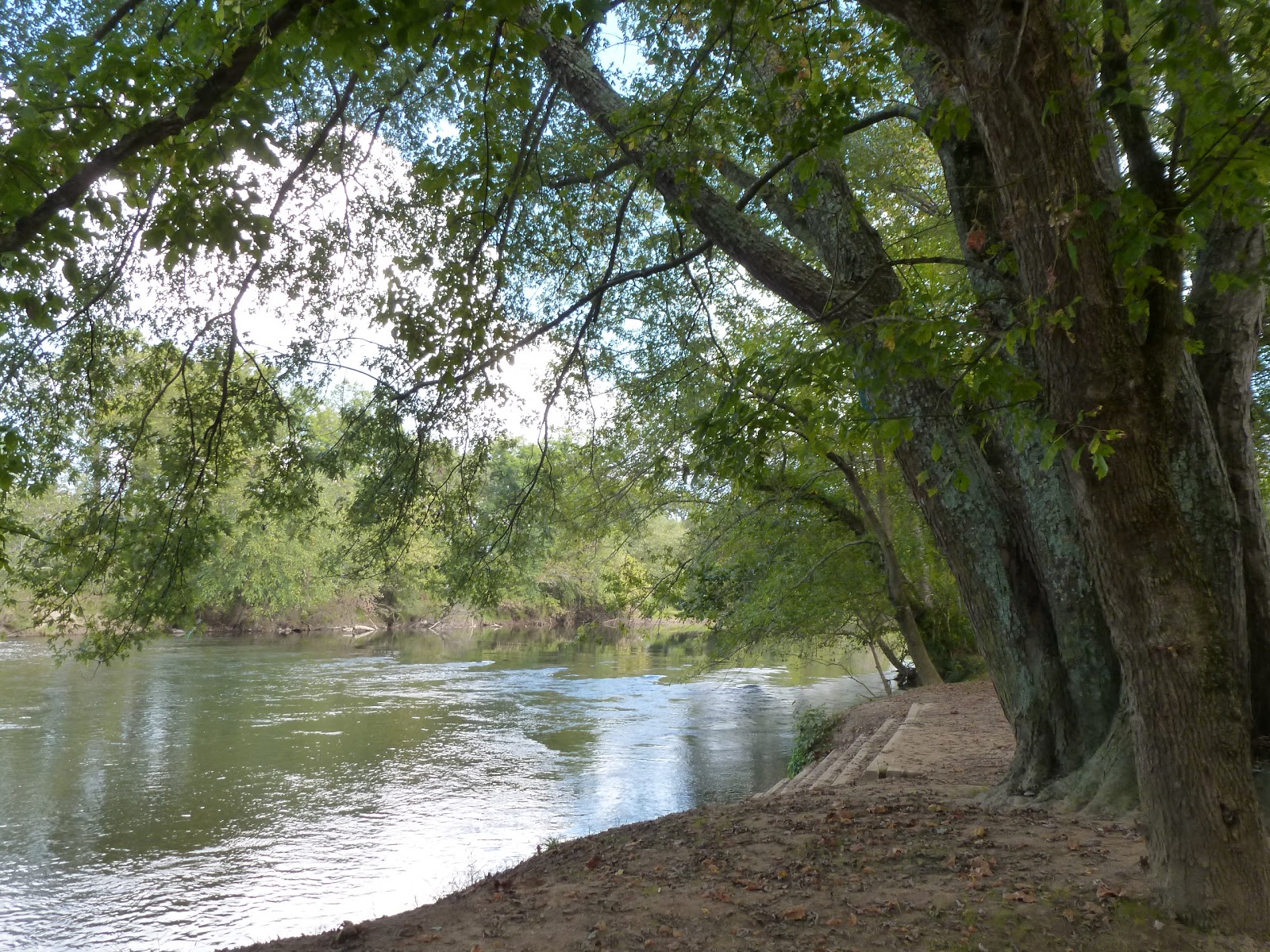 The Continuing Adventures of Eric, Noelle and Sierra French Broad Greenway Hominy Creek Park