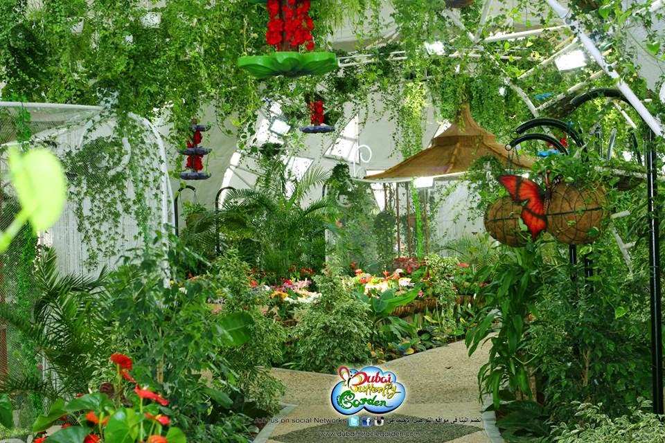 Amazing Magazine First butterfly garden opens in Dubai