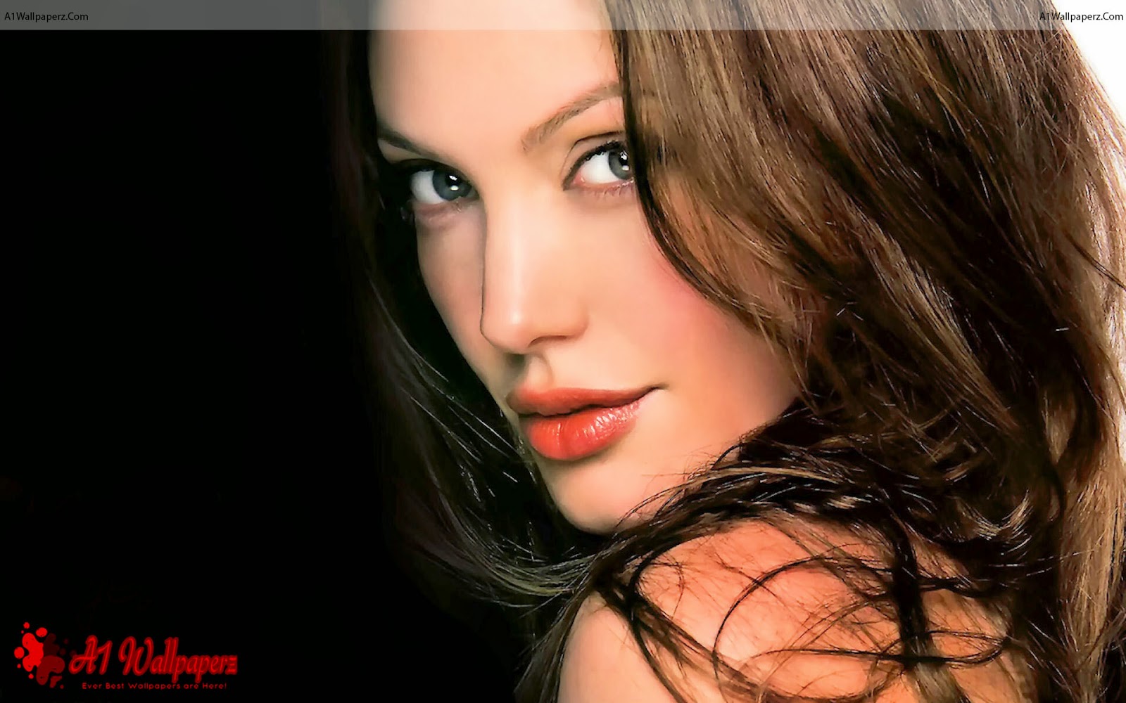 Angelina Jolie Hot And Sexy Wallpapers Hd Images Pictures For Mobiles And Desktop A1