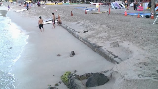 Honolulu tsunami twitter Honolulu tsunami twitter