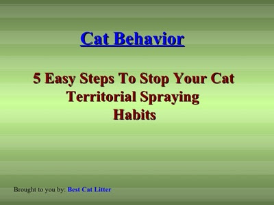 cat spray stop review, catspraystop review, cat spray stop