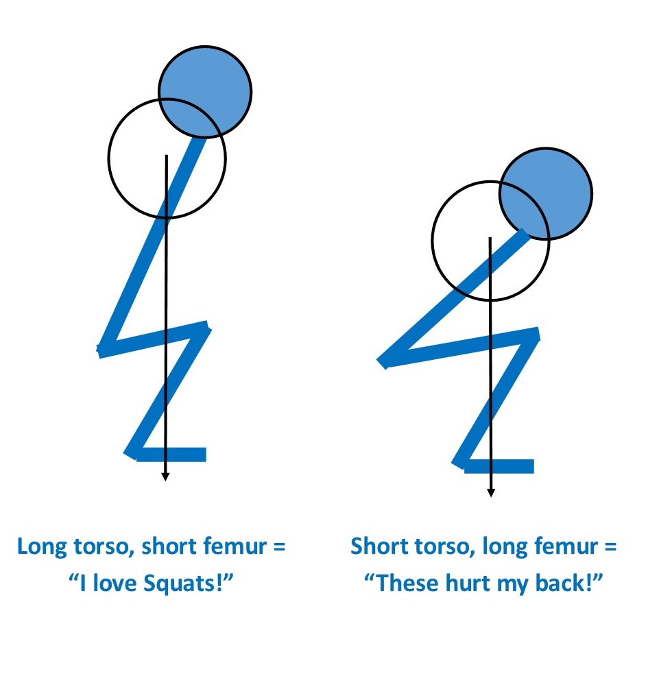 Bilderesultat for femur length squat