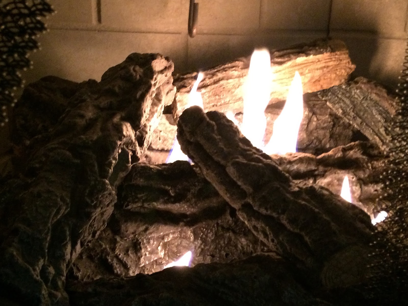 Still for Thought Who is going through the fire with you?