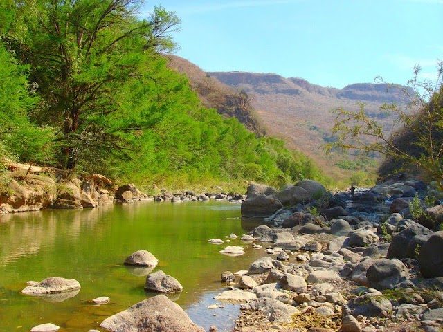 Nombran cuenca del Río Verde área natural protegida