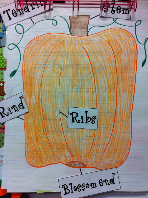 Welcome to Room 36!: pumpkins