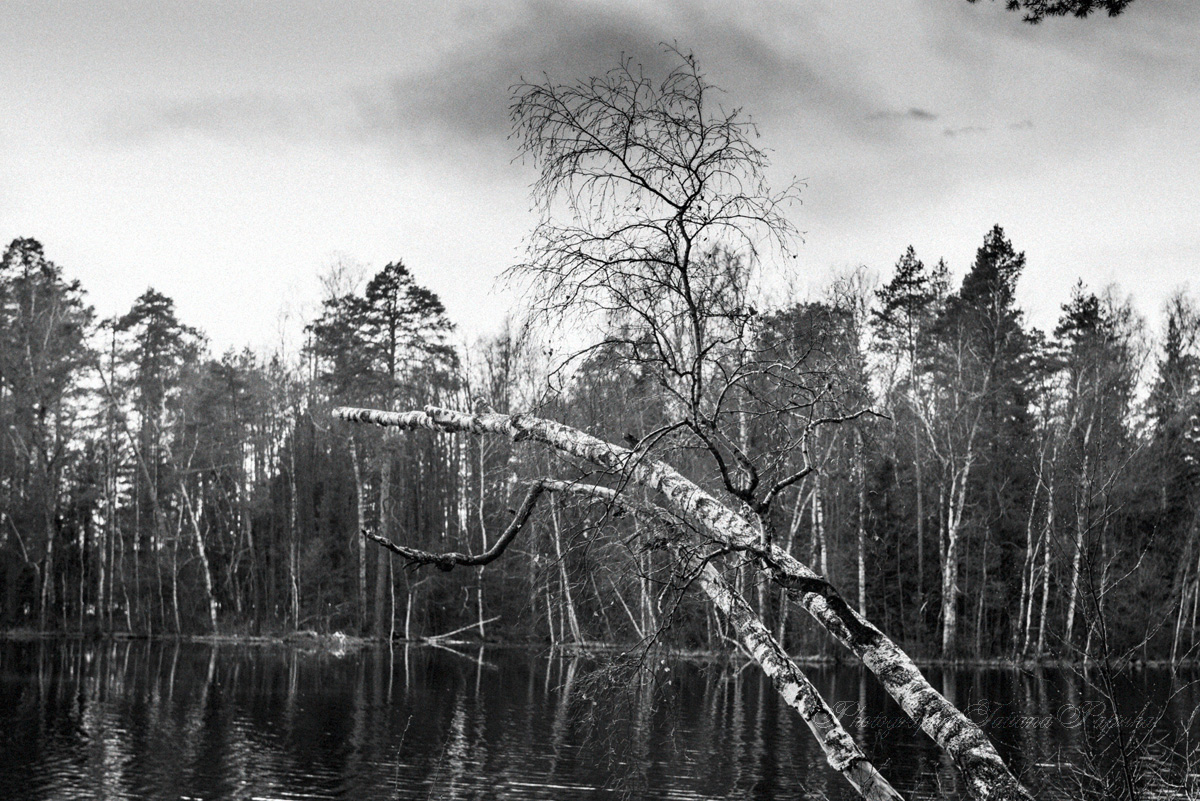 Мухтоловские озера