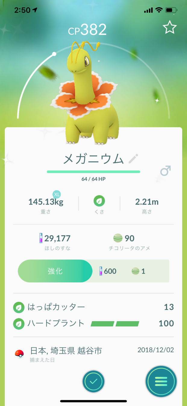 メシアブログ ポケモンgo メガニウム色違い