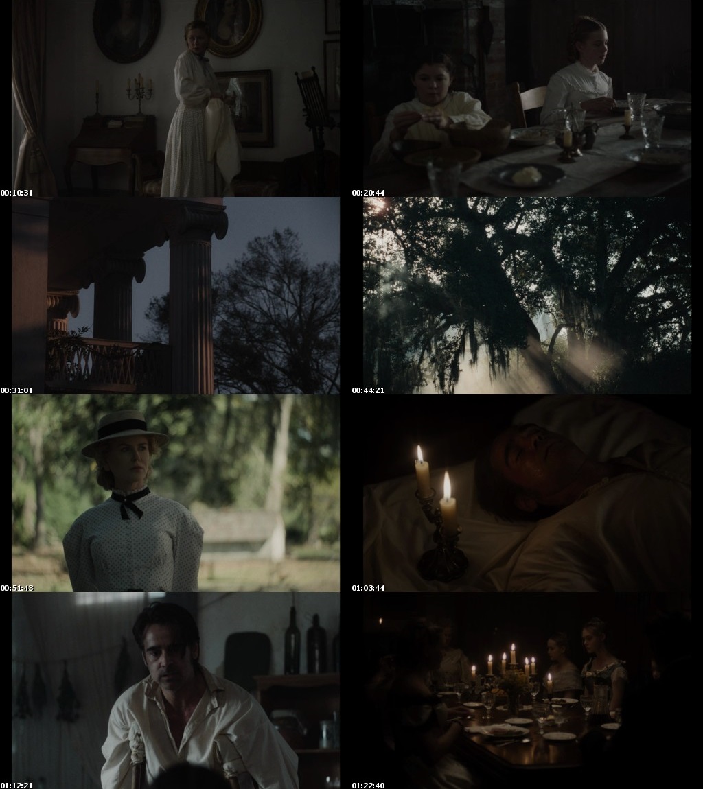 Watch Online Free The Beguiled (2017) Full Hindi Dual Audio Movie Download 720p 480p Bluray Watch Online Free The Beguiled (2017) Full Hindi Dual Audio Movie Download 720p 480p Bluray