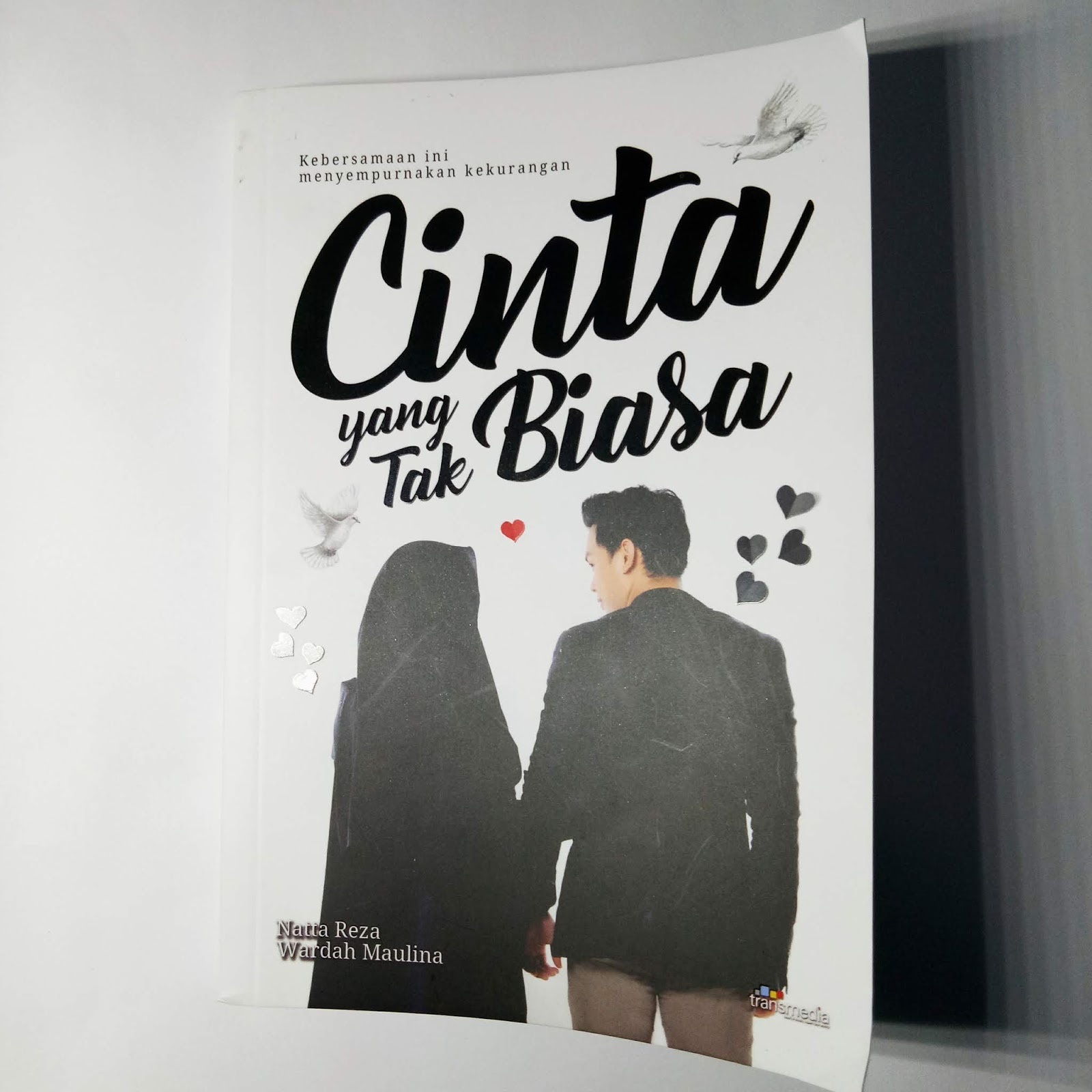 CINTA YANG TAK BIASA Penulis Nata Reza & Wardah Maulina
