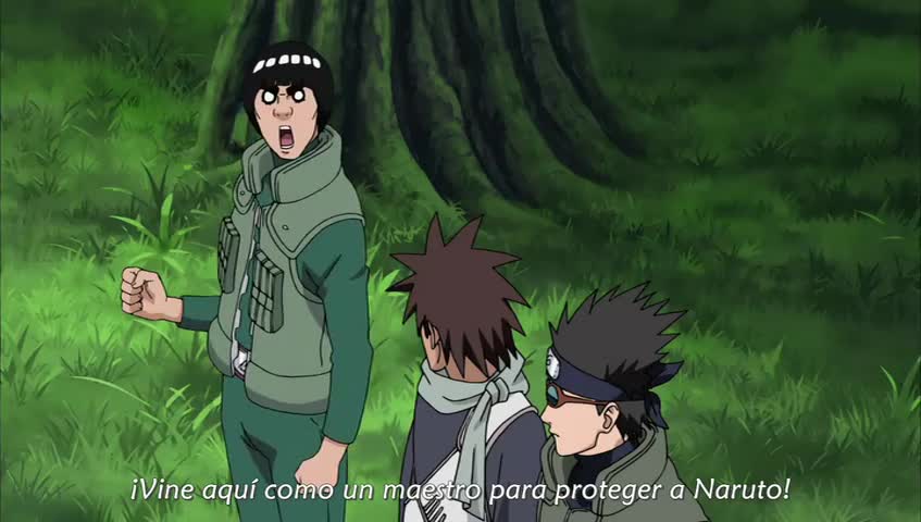 Ver Naruto Shippuden El control del Kyūbi y el encuentro del destino - Capítulo 250