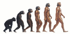 Heredity and evolution