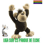 LIGA PARQUE DE ELCHE