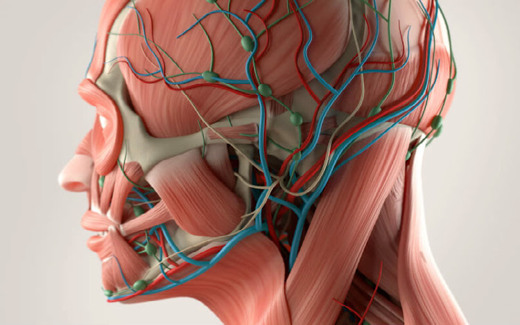 Fisiopatología Fisiopatología