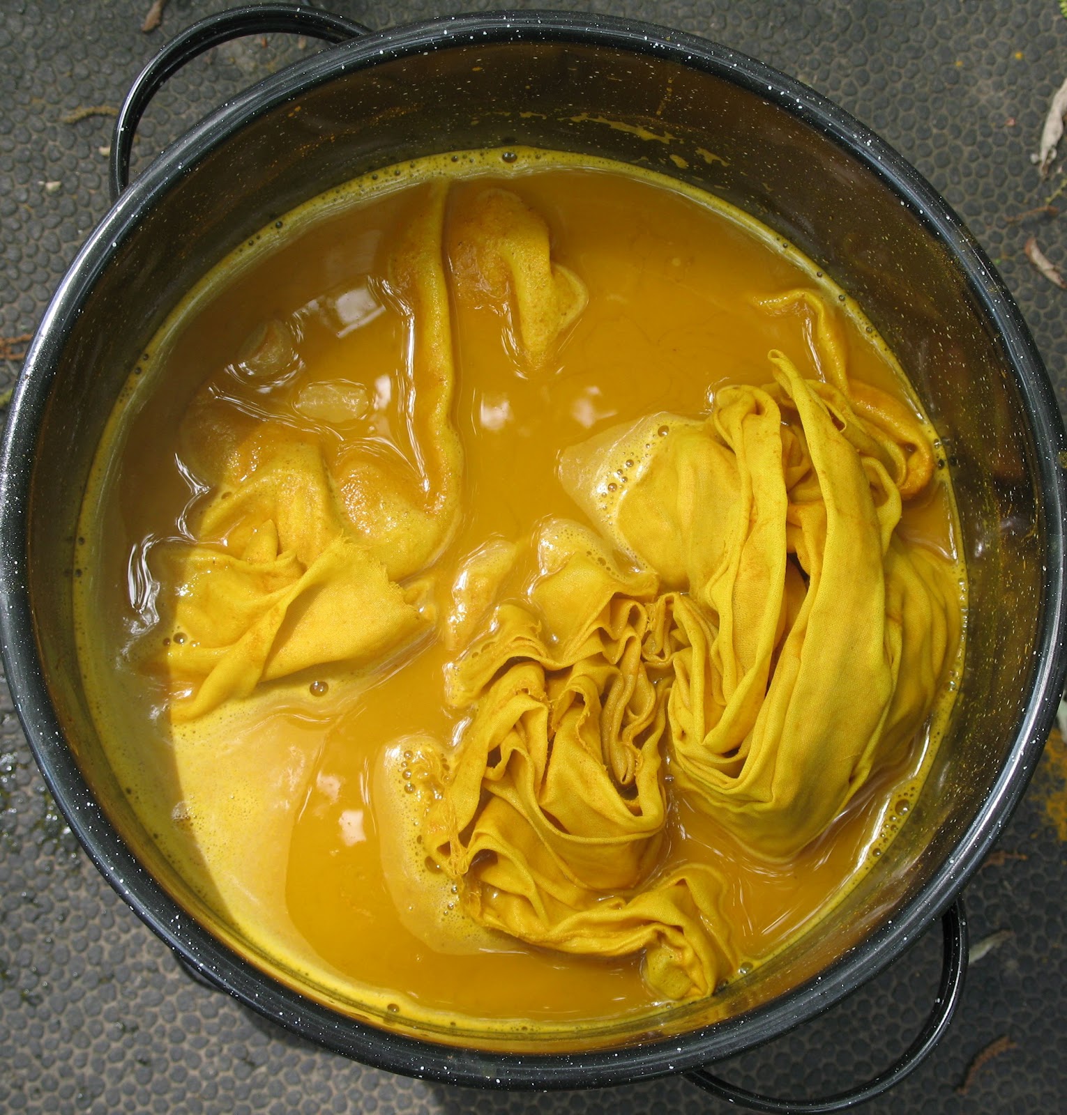 Vagabond's Daughter: Mellow yellow.