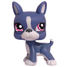 Littlest Pet Shop 3-pack Scenery Boston Terrier (#1025) Pet Littlest Pet Shop 3-pack Scenery Boston Terrier (#1025) Pet