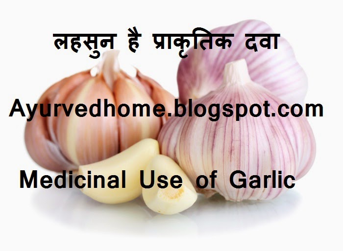 Ayurveda Home and Remedies with Nature Garlic is a natural medicine in