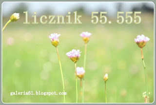 baner - złap licznik 55.555