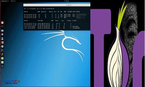 kali linux tor browser kali linux tor browser