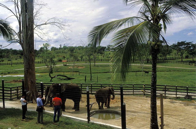 Fotografías de la Hacienda de Pablo Escobar a principios de los 90