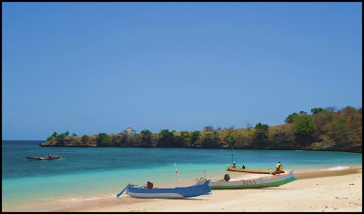  Referred to equally the Pink Beach because of the color of sand is dominated yesteryear the color Pink Best Place to visit in Bali Island: Pink Beach Lombok (NTB)