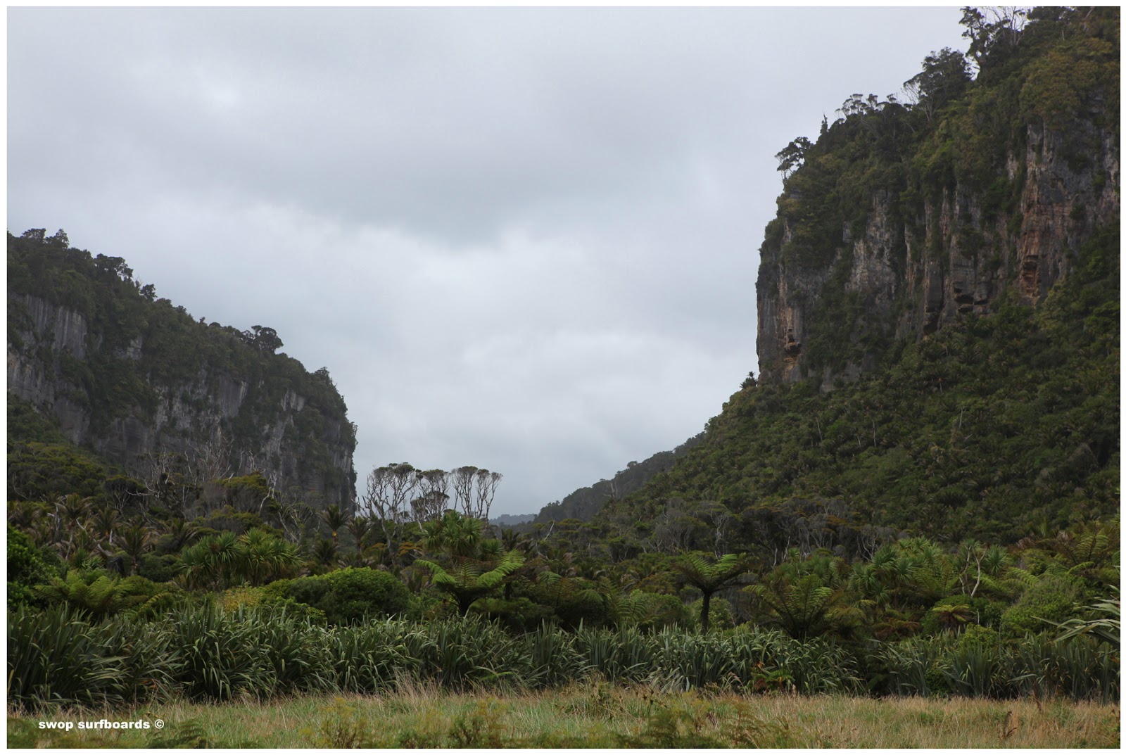 swop surfboards NEW ZEALAND 2/2 SOUTH ISLAND
