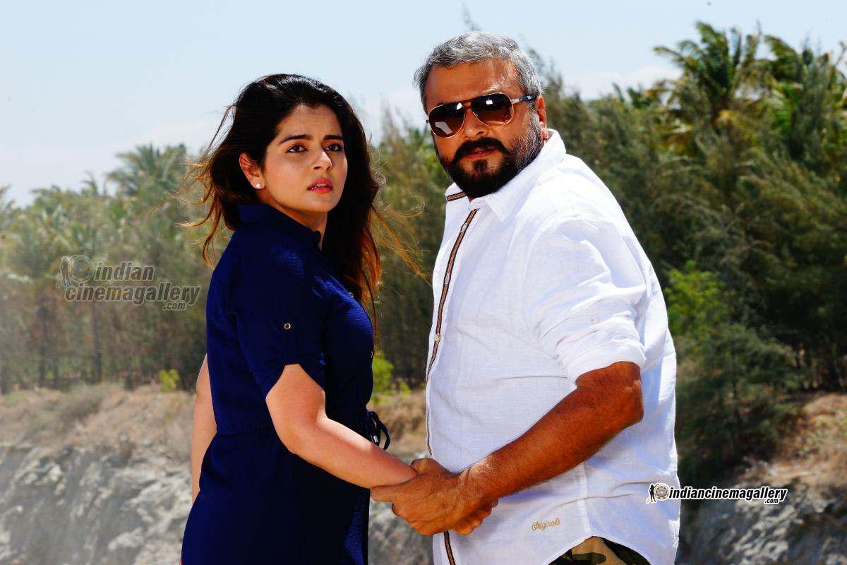 Typhoon - Tussen Licht En Lucht - YouTube