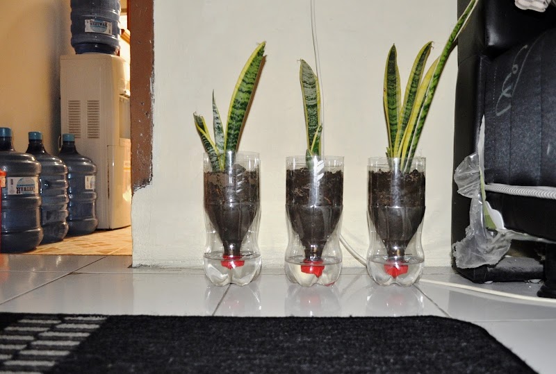 Inspirasi Baru 18+ Cara Membuat Pot Bunga Gantung Dari Botol Bekas