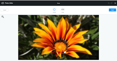 11 Photo Editor (Ex-Aviary) -focus-circular 11 Photo Editor (Ex-Aviary) -focus-circular