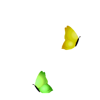 butterfly gif ~ H Graphics