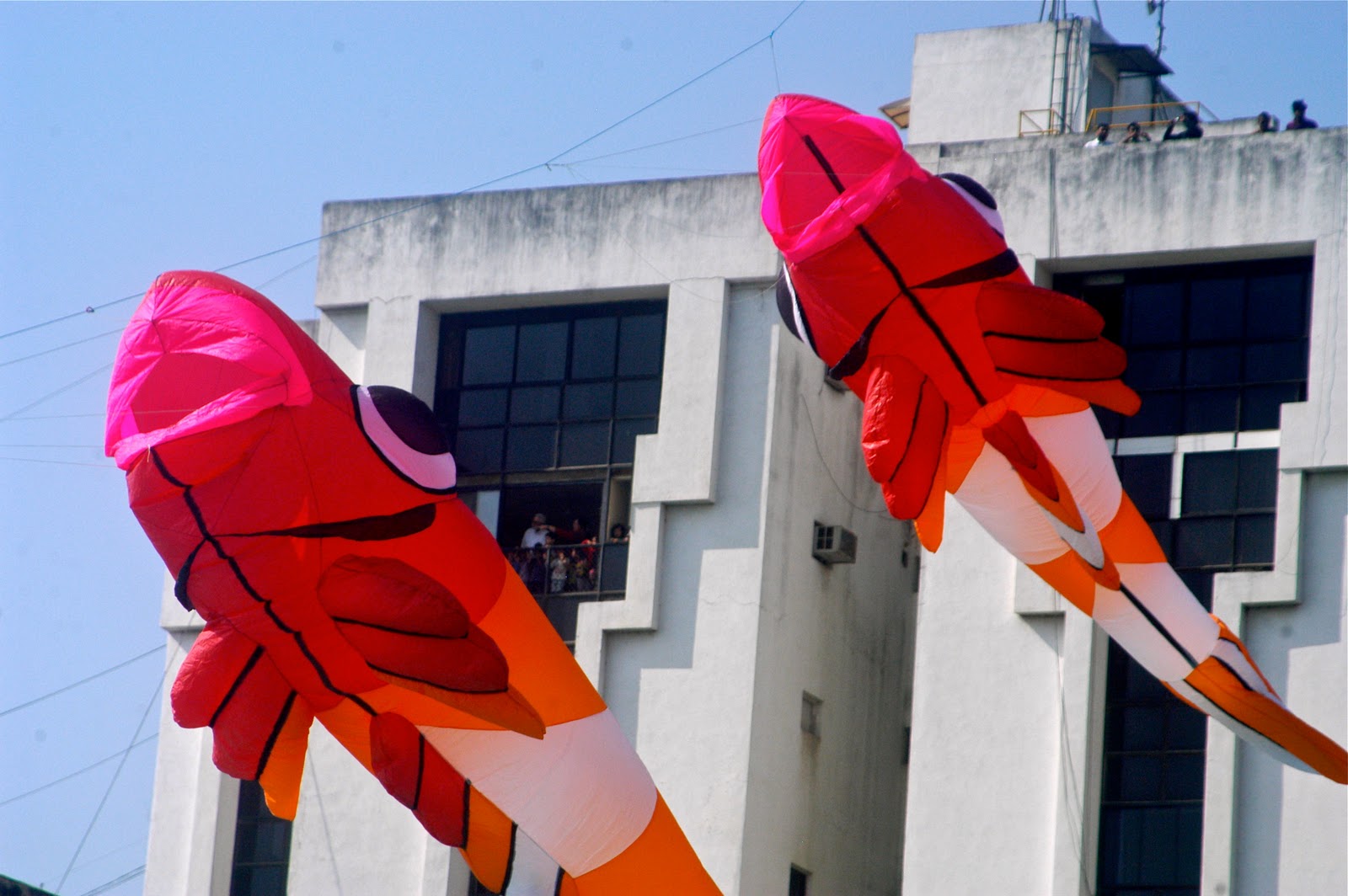 gurjarvani Kite Festival International at Ahmedabad, India