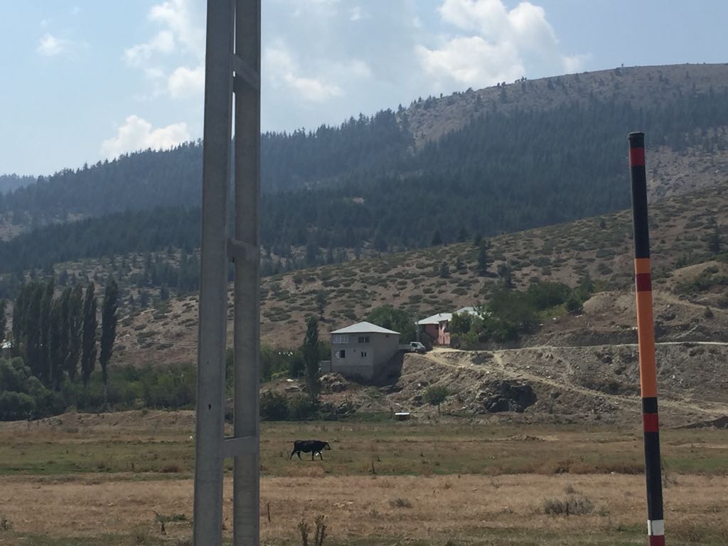 ARICI MEHMET HOCA ARICI MEHMET HOCA