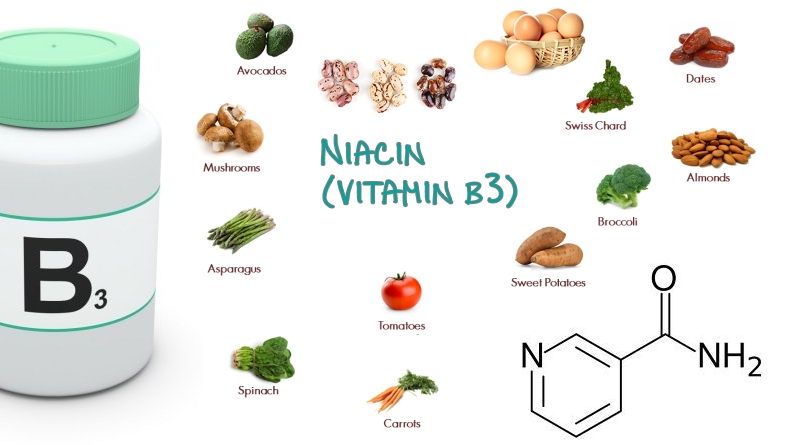 Macam Jenis Vitamin B3 Niacin Beserta Fungsi Dan Manfaatnya