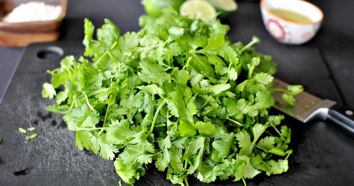 Health Medicine Cilantro can Remove 80 of Heavy Metals from the Body