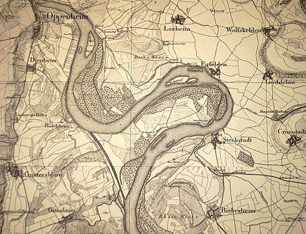 Natura Xilocae: KÜHKOPF-KNOBLOCHSAUE: UN MEANDRO ABANDONADO DEL RIN