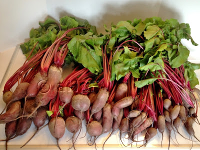 Beets, crop, beet greens, vegetables, ingredients