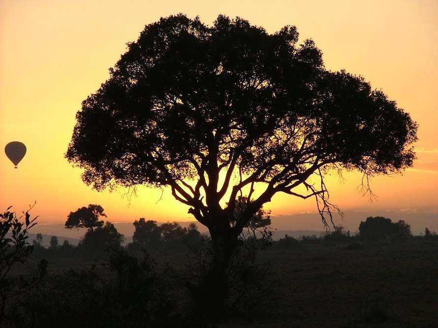 Dawn Masai Mara