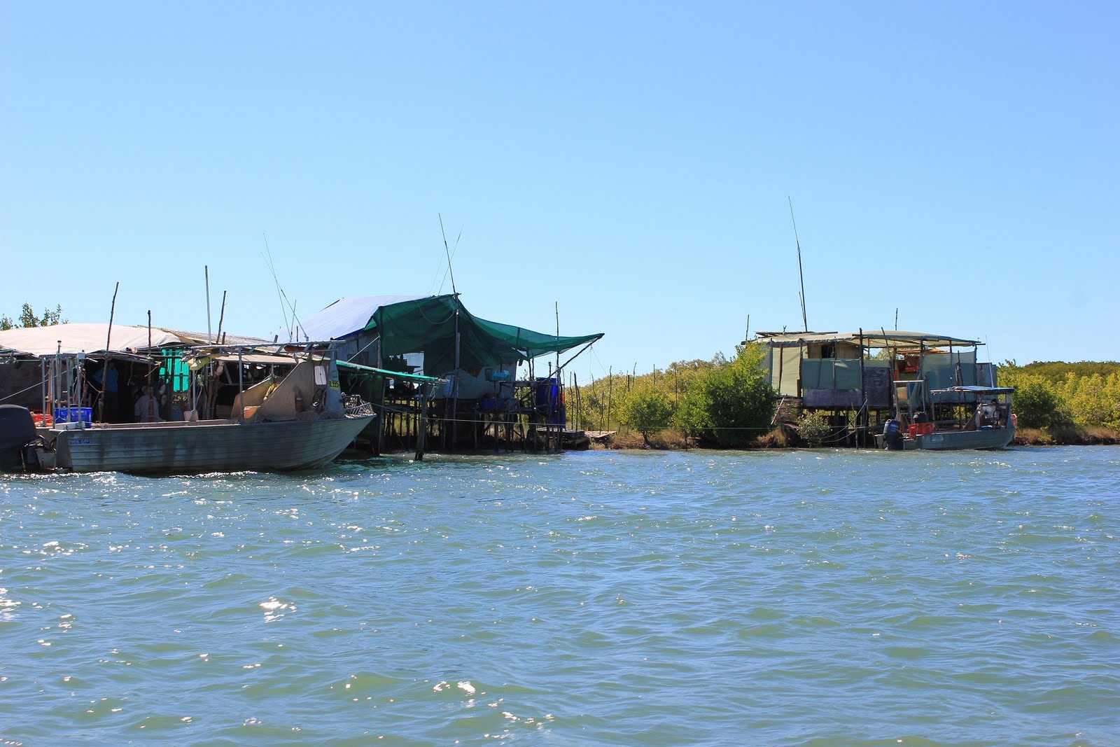 Kelso's Great Aussie Adventure King Ash Bay N.T.