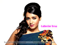 beautiful indian actress, catherine tresa wallpaper, silky black hair, photo