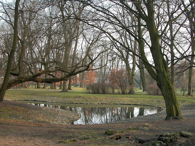 DSCN9872.JPG