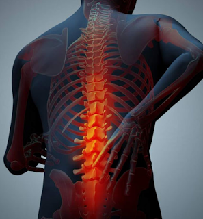 https://myhealthandbeautyguide.com/2018/03/spondylitis-spinal-cord-problems-and-rescue-methods.html