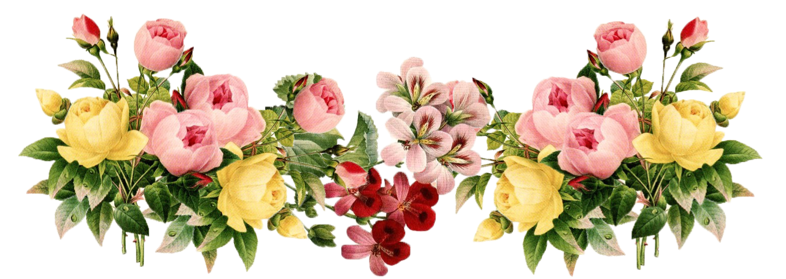 53+ Gambar Bunga Png Terbaru 53+ Gambar Bunga Png Terbaru