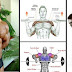 The Best Shoulder Workout Weightlifting Routines