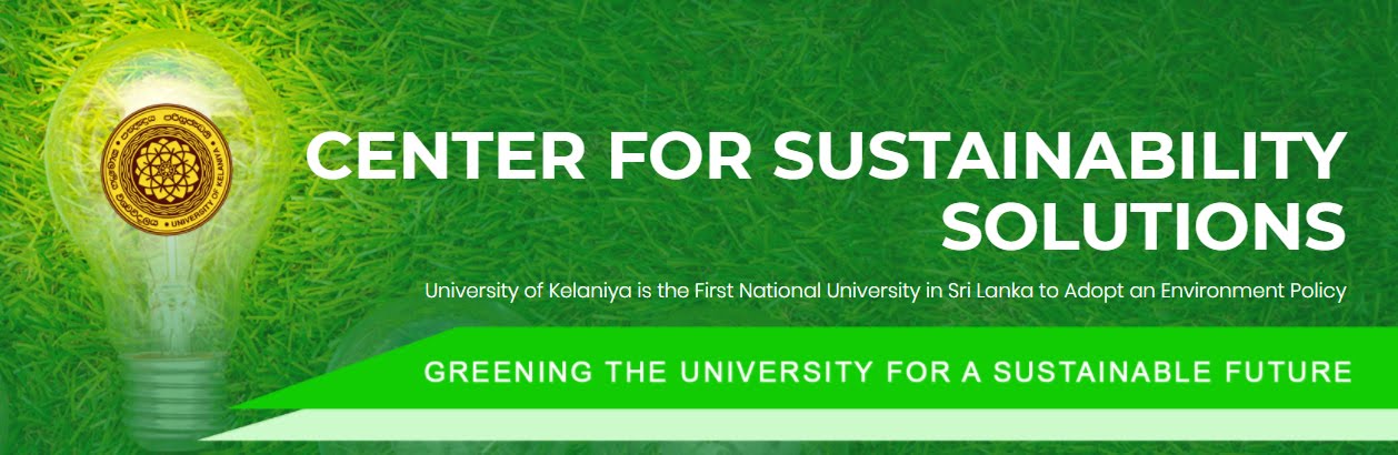 Center for Sustainability Solutions (CSS)