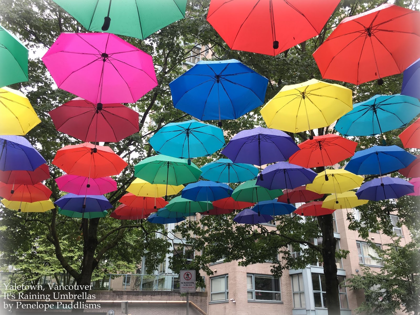 Raining Umbrellas In Yaletown