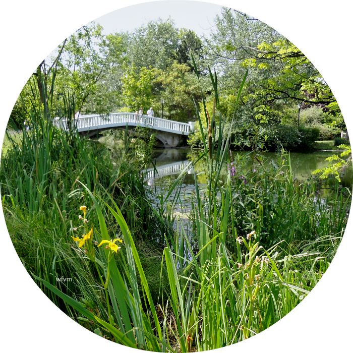 Where Five Valleys Meet A Paris suburb