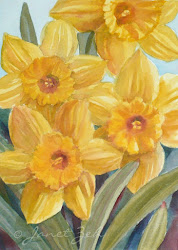 flowers daffodils daffodil paintings watercolor yellow painting oil flower watercolour floral artwork wall bright spring zeh