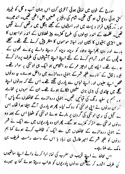 history of tariq bin ziyad in urdu