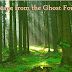 Escape From The Ghost Forest
